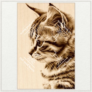 PNG-Dateien für die Lasergravur gemacht | Katze, Haustier, Katzengesicht, Portrait, Katzenliebhaber, Katzenperson, Katzenmama, Miau, Kitty, Kätzchen, Schnurren, Wandbehang DIY