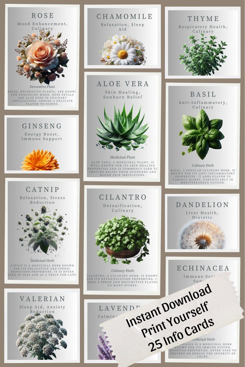 25 Printable Herbs and Medicinal Plant Guide Cards With Names, Uses