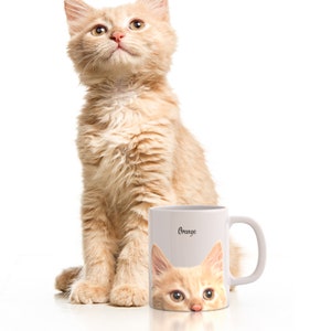 May include: A white ceramic mug with a picture of a ginger kitten on it. The kitten is looking at the camera with its head peeking out from behind the mug. The mug has the word "Orange" printed on it.