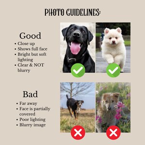 May include: A guide to taking good photos of dogs. Two examples of good photos are shown with a green checkmark. Two examples of bad photos are shown with a red X. The text reads "PHOTO GUIDELINES: Good - Close up, Shows full face, Bright but soft lighting, Clear & NOT blurry. Bad - Far away, Face is partially covered, Poor lighting, Blurry image."