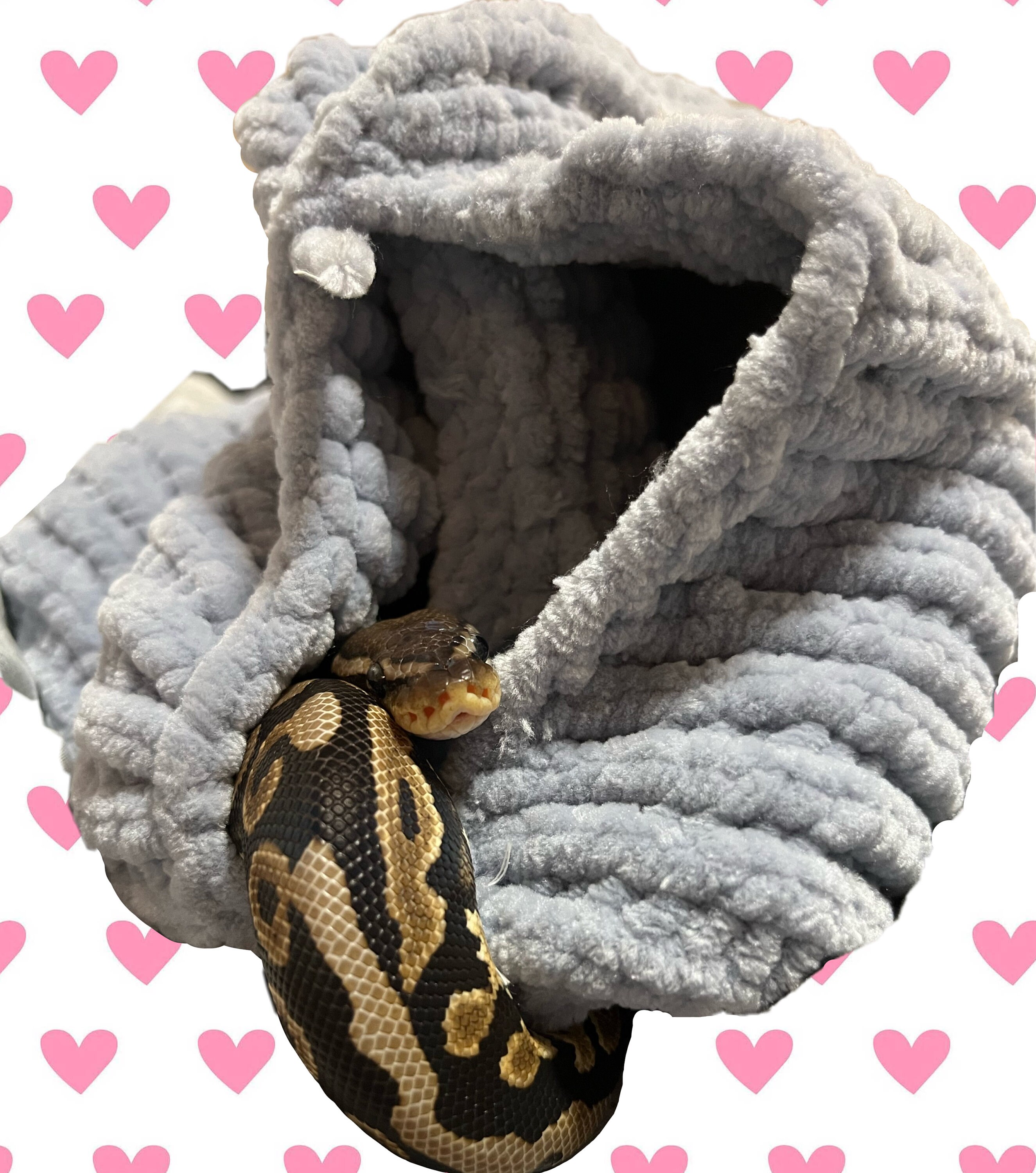 Snake carrier 2025