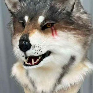 May include: A realistic wolf head mask featuring grey, white, and brown faux fur. The mask has pointed ears, a black nose, and an open mouth showing white teeth. A distinct red mark resembling a scar is visible under the left amber-colored eye.