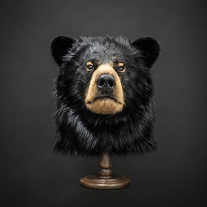Può includere: Una testa di orso nero tassidermizzata con folta pelliccia nera, un muso marrone chiaro e un naso nero. La testa dell'orso è montata su una base circolare in legno marrone scuro, posizionata frontalmente con un'espressione neutra.