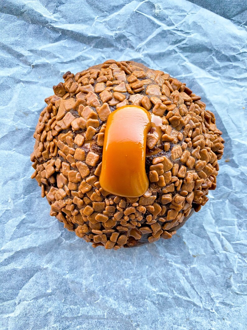 May include: A chocolate doughnut topped with chocolate sprinkles and a dollop of caramel.