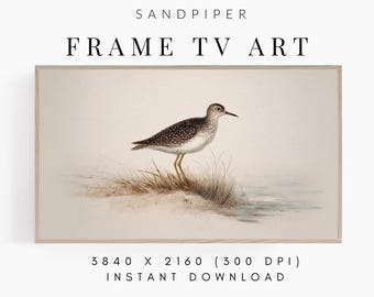 Cadre TV Art été vintage bécasseau oiseau peinture pour le cadre Samsung, numérique téléchargeable