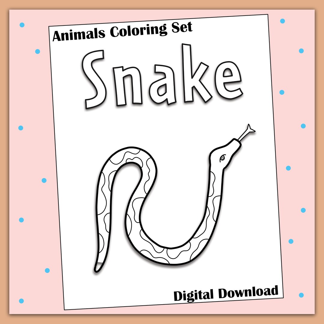 Animal Coloring Set 26 Pages | US Letter | A4 | PDF - Etsy UK