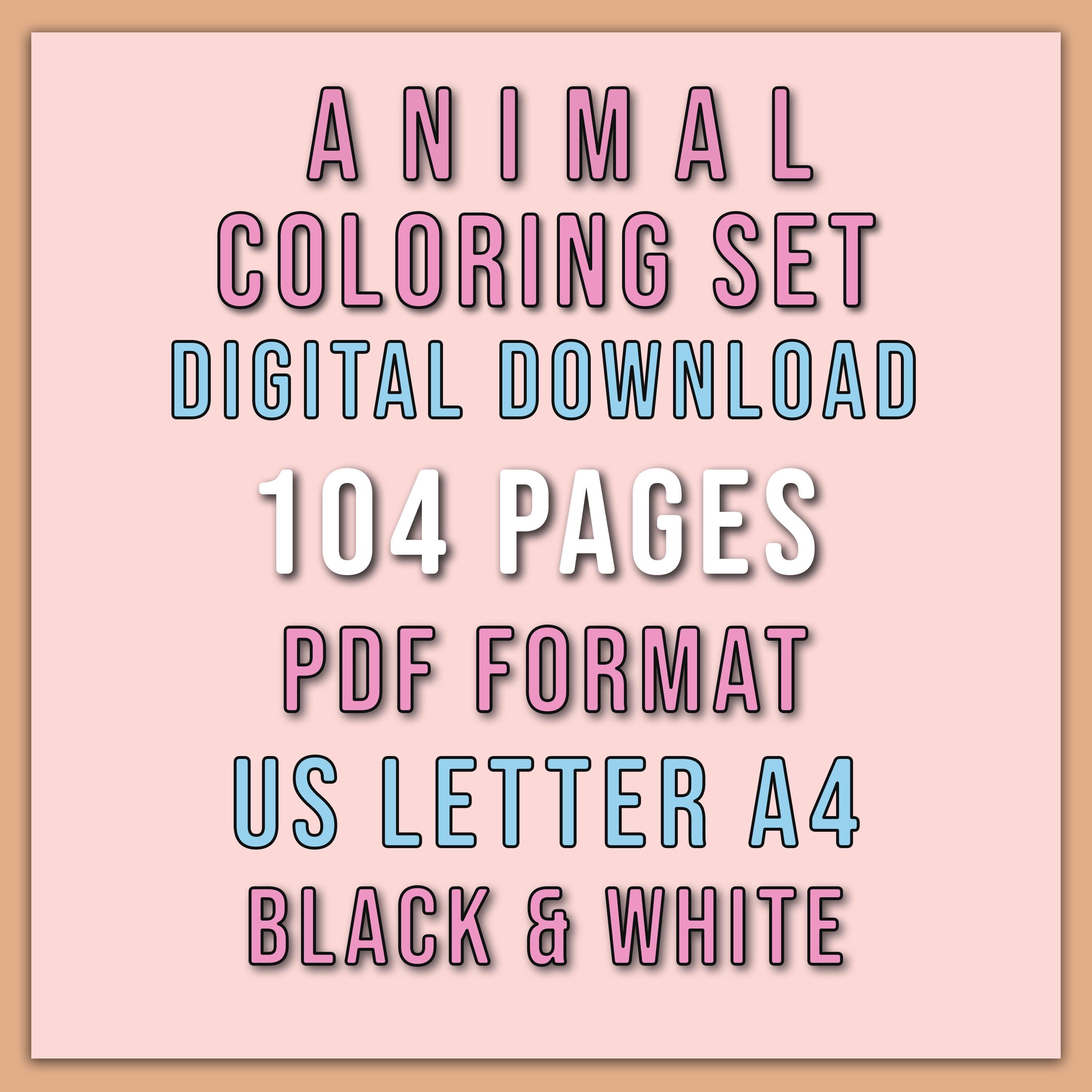 Animal Coloring Set 26 Pages | US Letter | A4 | PDF - Etsy UK