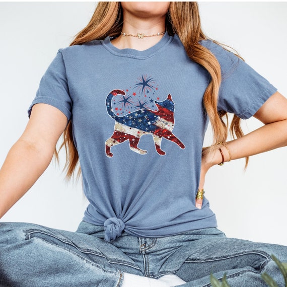 Grunge Cat USA Shirt with Fireworks and Flag, Patriotic Comfort Colors® Tee, gift for-her to celebrate Independence Day with cute kitties