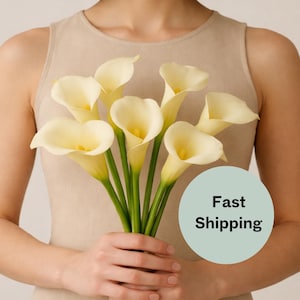 Könnte beinhalten: Ein Strauß cremefarbener Calla-Lilien mit glatten, trompetenförmigen Blütenblättern und leuchtend grünen Stielen. Die Blumen sind in einem Bündel angeordnet und zeigen ihre eleganten, geschwungenen Formen sowie ihr sanftes, helles Erscheinungsbild.
