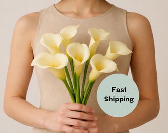 Juego de 3 tallos de flores artificiales de cala en color marfil o blanco para decoración del hogar. Ideales para arreglos florales, ramos y coronas. Paquete de 35,5 cm (14 pulgadas).