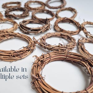 Kleine wijnstok krans basis natuurlijke rustieke decoratie bruiloft tafel middelpunt idee ambacht project vakantie decor bos gunst DIY mini