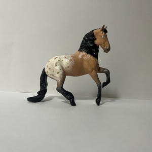 Custom Buckskin Appaloosa Stablemate