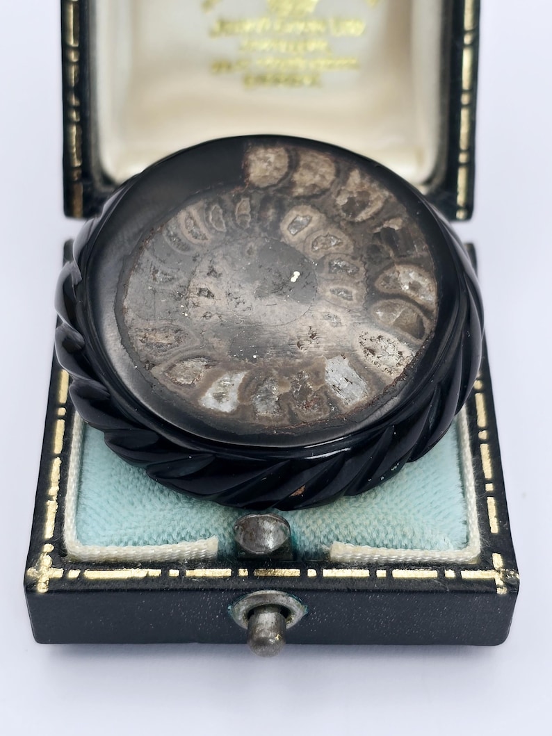 Round Victorian Jet and Fossil Ammonite Mourning Brooch