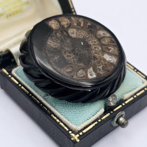 Round Victorian Jet and Fossil Ammonite Mourning Brooch