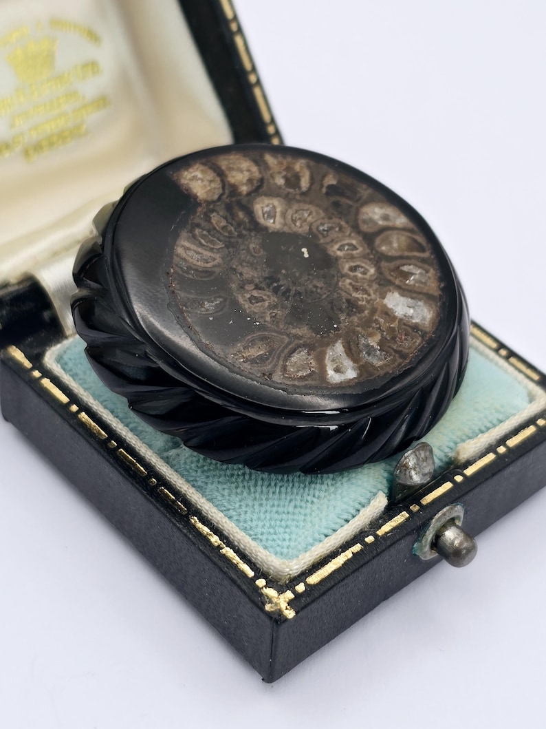 Round Victorian Jet and Fossil Ammonite Mourning Brooch
