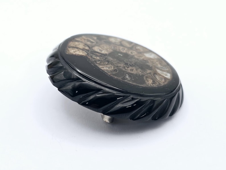 Round Victorian Jet and Fossil Ammonite Mourning Brooch