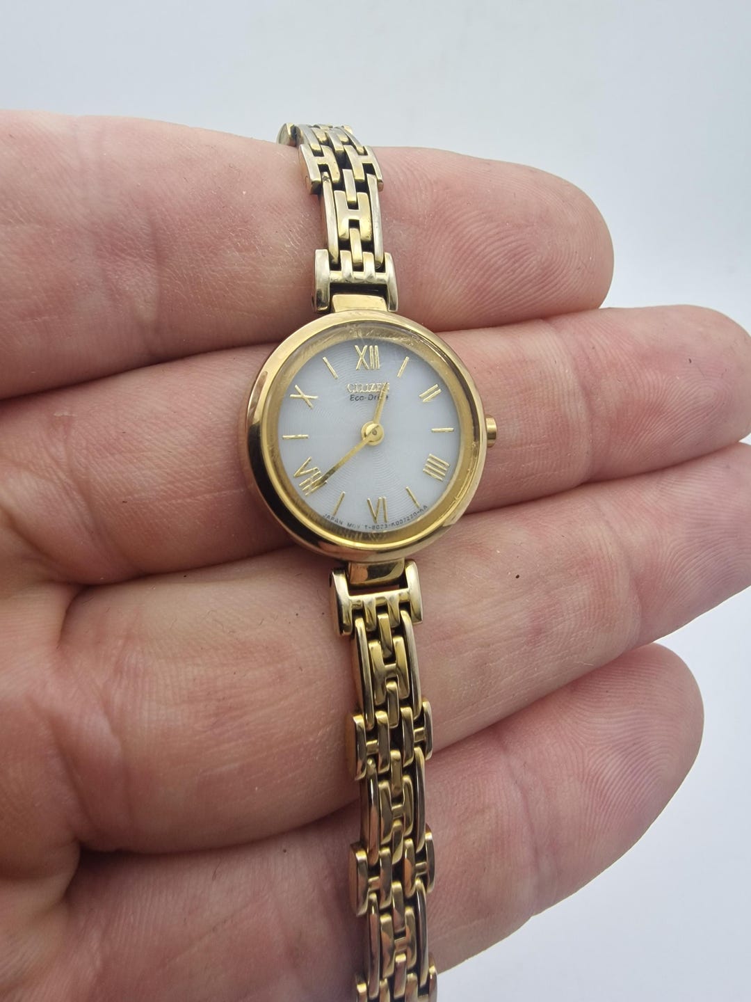 Citizen Eco - Drive ( T - B023 ) Ladies Quartz Watch With Fan Pattern ...