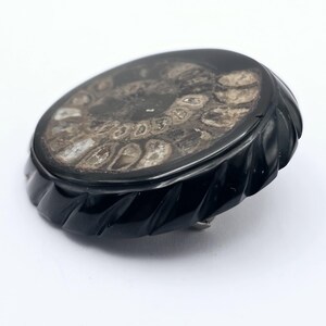Round Victorian Jet and Fossil Ammonite Mourning Brooch