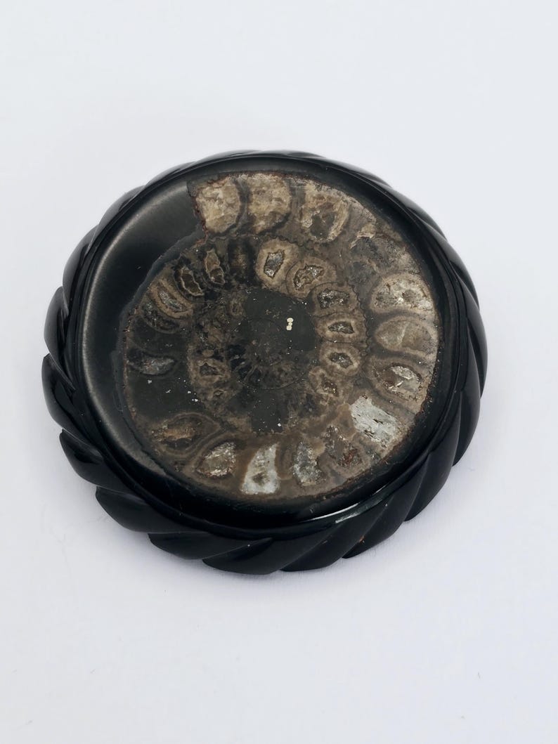 Round Victorian Jet and Fossil Ammonite Mourning Brooch