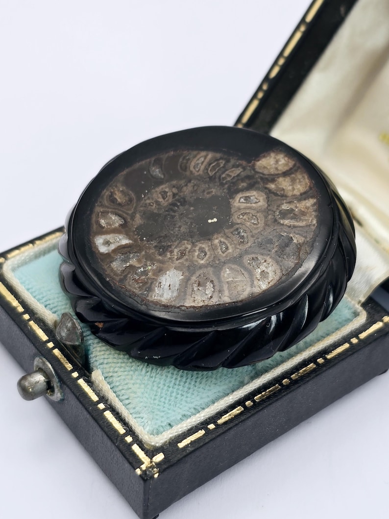 Round Victorian Jet and Fossil Ammonite Mourning Brooch