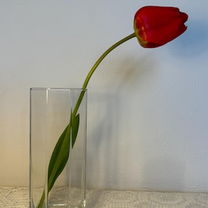 Vintage Clear Glass Vase