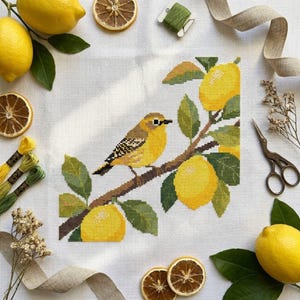 May include: A cross-stitch embroidery pattern on white fabric featuring a yellow bird perched on a brown branch with green leaves and yellow lemons. The design is surrounded by fresh lemons, dried lemon slices, green embroidery floss, and scissors.