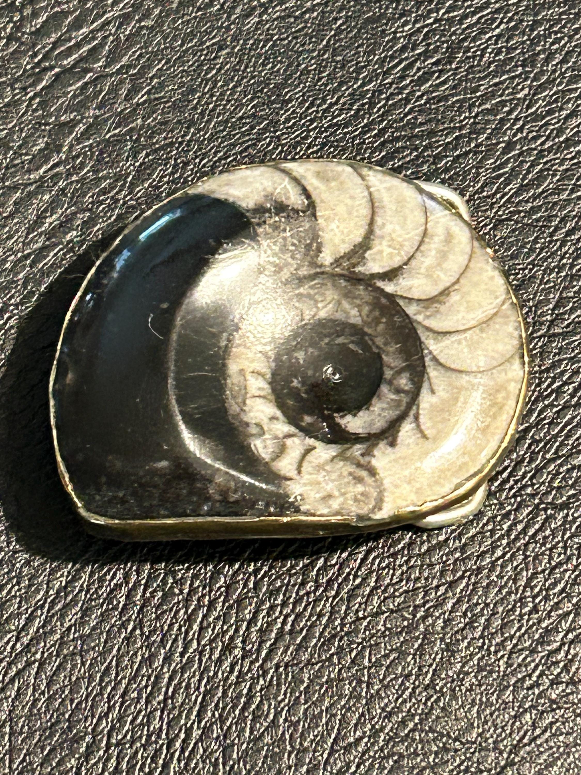 MOROCCAN AMMUNITE FOSSIL &JASPER HANDMADE BELT BUCKLE. Buy White Quartz & Jasper Stone Flower Belt Buckle Online in  main image 3