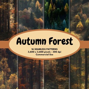 May include: A collection of 16 seamless patterns featuring autumn forest scenes. The images showcase a variety of forest views with trees in shades of green, yellow, orange, and brown. The text "Autumn Forest" is displayed on a tan oval.
