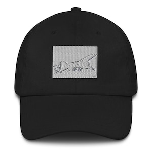 May include: A black baseball cap with an embroidered image of a plane in flight. The plane is gray and white and is in a rectangular frame.