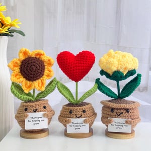 Handmade Crochet Flowers:Sunflower/Rose/Red Heart,Thank you for helping me grow,Thank you for Gift,Office Gift,Valentine&#39;s Day gift for her