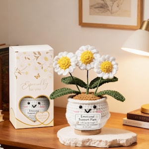 Può includere: Un'arrangiamento floreale di margherite all'uncinetto in un vaso bianco con una faccia sorridente, etichettato "Emotional Support Plant". L'arrangiamento comprende tre margherite bianche con centri gialli e foglie verdi. Una confezione regalo con "Especially for you" è a sinistra.