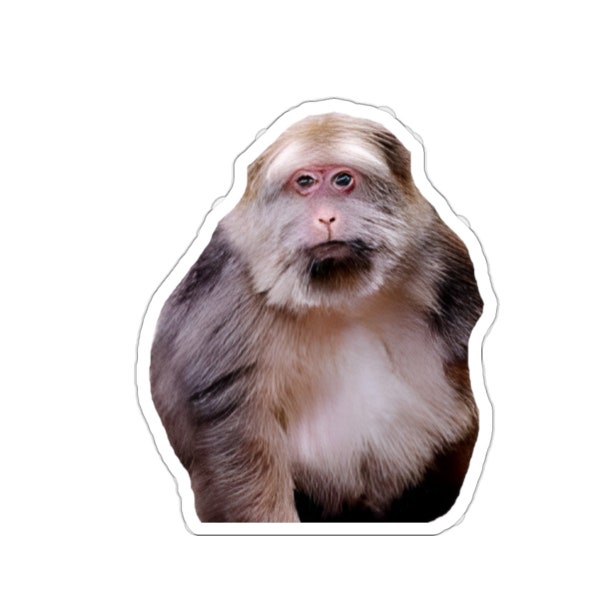 Xing Xing Monkey Sticker, meme, funny, monkey, chinese, tiktok, instagram