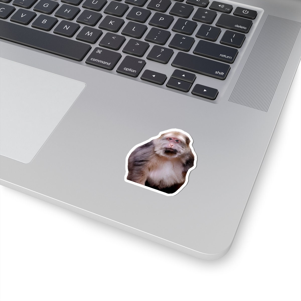 Xing Xing Monkey Sticker, Meme, Funny, Monkey, Chinese, Tiktok