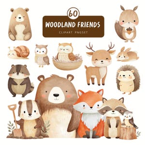 60 Woodland Friends PNG Transparent Background | Watercolor Forest Animals, Bear, Fox, Deer | Nursery Clipart Set