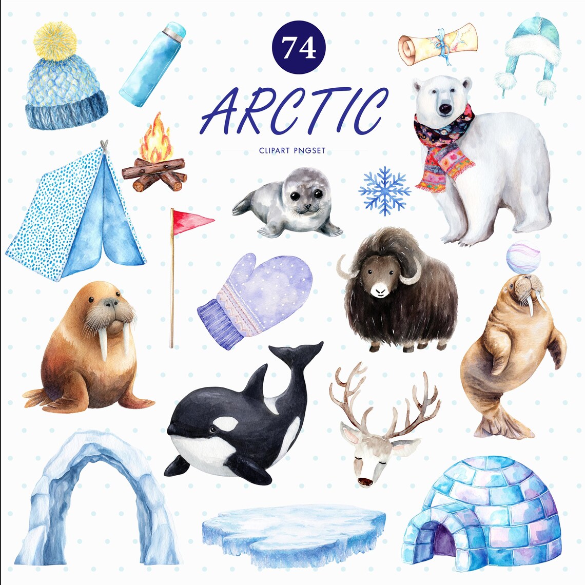 74 Arctic Animals PNG Transparent Background | Watercolor Winter, Polar ...