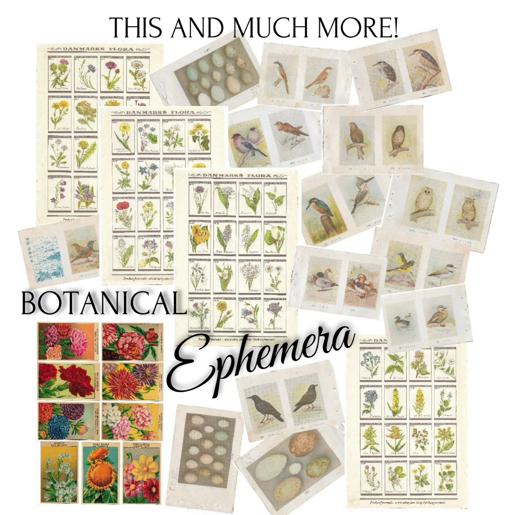 DIGITAL vintage botanical ephemera set, Flowers, Birds, Eggs, Japanese, For junk journal and scrapbooking, Prints, printable paper
