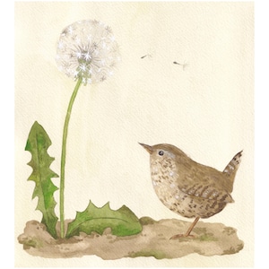 Wren Print