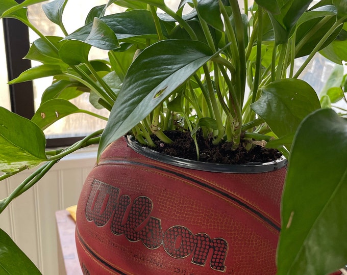 Basketball planter