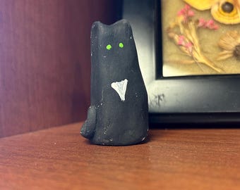 Tuxedo Cat Buddy