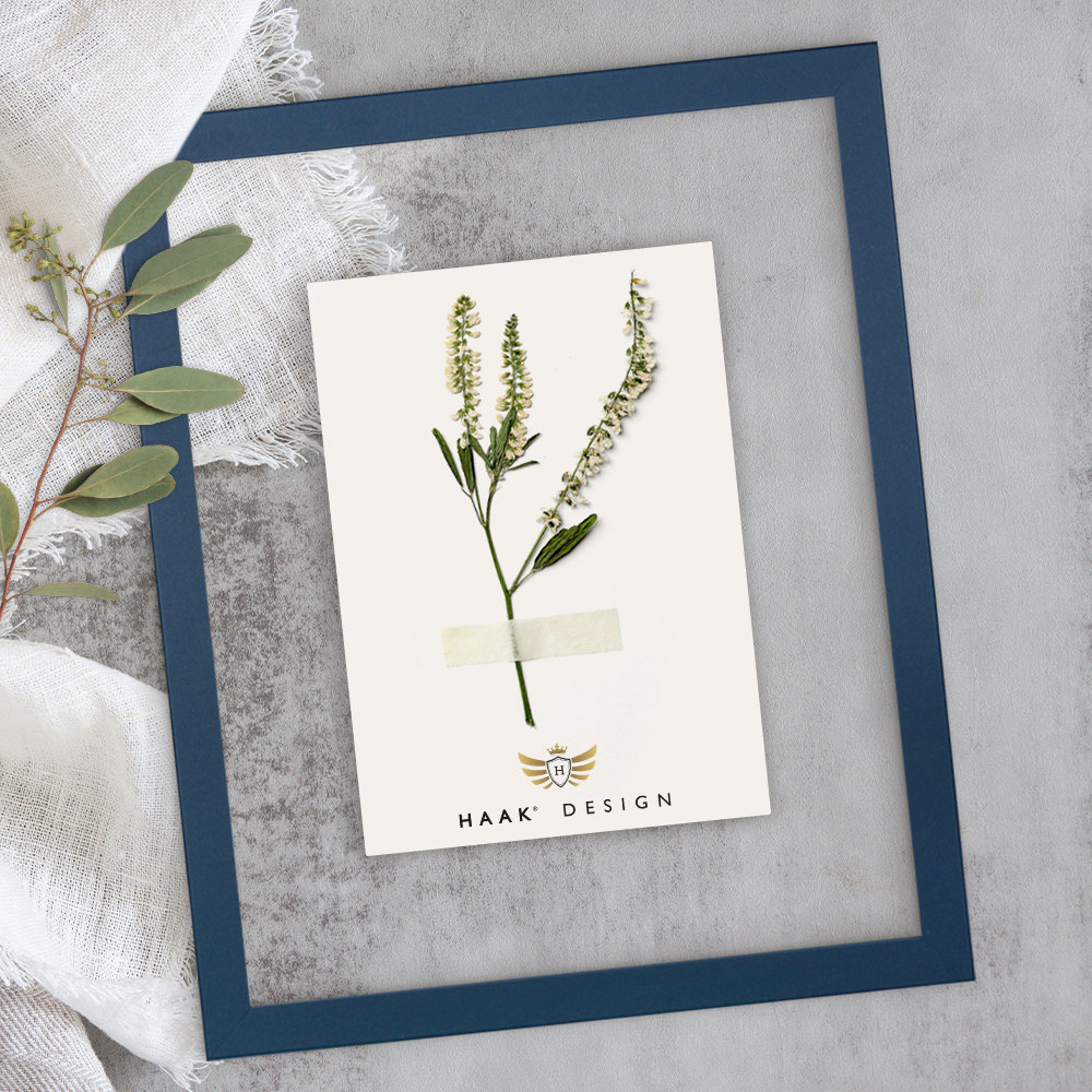 Cornici Nere Per Portafoto Set Cornici Sottili Moderne A2, A3, A4, A5 - Per Foto, Poster E Diplomi, Colori Vari, UK Cornice A2 - Foto 5