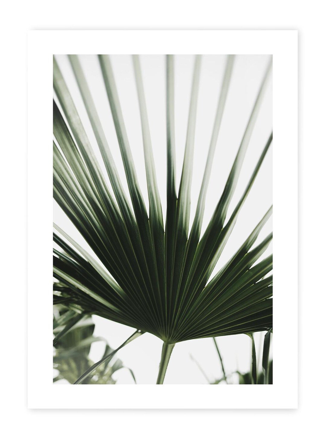 Palm Leaf Poster | Digital File | Nature Art Print | Living Room Wall ...