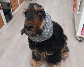 Snood pour cocker