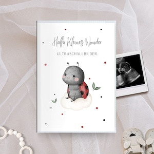 Könnte beinhalten: Eine weiße Karte mit roten und schwarzen Punkten. Die Karte sagt "Hallo Kleines Wunder" und "ULTRASCHALLBILDER". Ein Cartoon-Marienkäfer sitzt auf einer weißen Wolke.