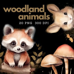 Woodland Little Animals Aquarelle Clip Art Fox, Ours Racoon Baby-Shower Forest, Nursery Graphic PNG Cute Design