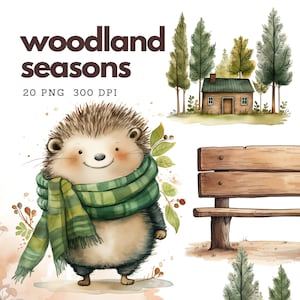 Animaux des bois aquarelle Clipart, animaux des bois mignons, décor de chambre d’enfant, clipart de douche de bébé des bois, ours renard lapin, bois PNG