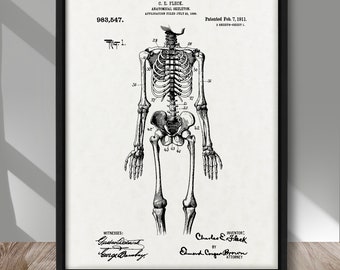 Anatomical Skeleton patent poster, Anatomical Skeleton patent print, Human Skeleton poster, Medicine wall decor, Medical office wall decor