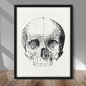 Human Skull detail chart print, Anatomical Skull poster, Skeletal system print, Anatomy patent print, Medicine decor, Medical office decor