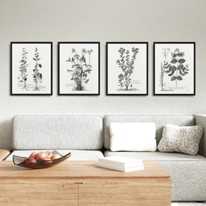 ensemble de 4 affiches botaniques vintage en noir et blanc, oeuvre d'art botanique vintage, décoration vintage de maison de ferme, dessin d'illustration végétale Impression d'art
