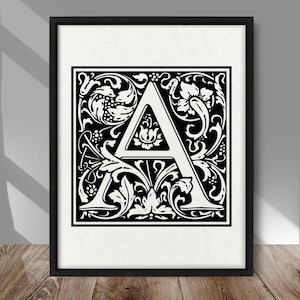 LETRA ornamental A, personagem extravagante, letras decorativas, tipografia embelezada, alfabetos estilísticos, MAIÚSCULAS artísticas, enfeite de tipo