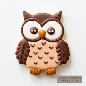May include: A brown and tan owl cookie decorated with white icing and brown details. The cookie is shaped like an owl with large eyes, a beak, and wings. The cookie is on a white background.